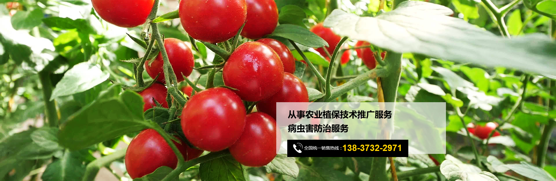 河南豐之源農(nóng)作物保護(hù)有限公司